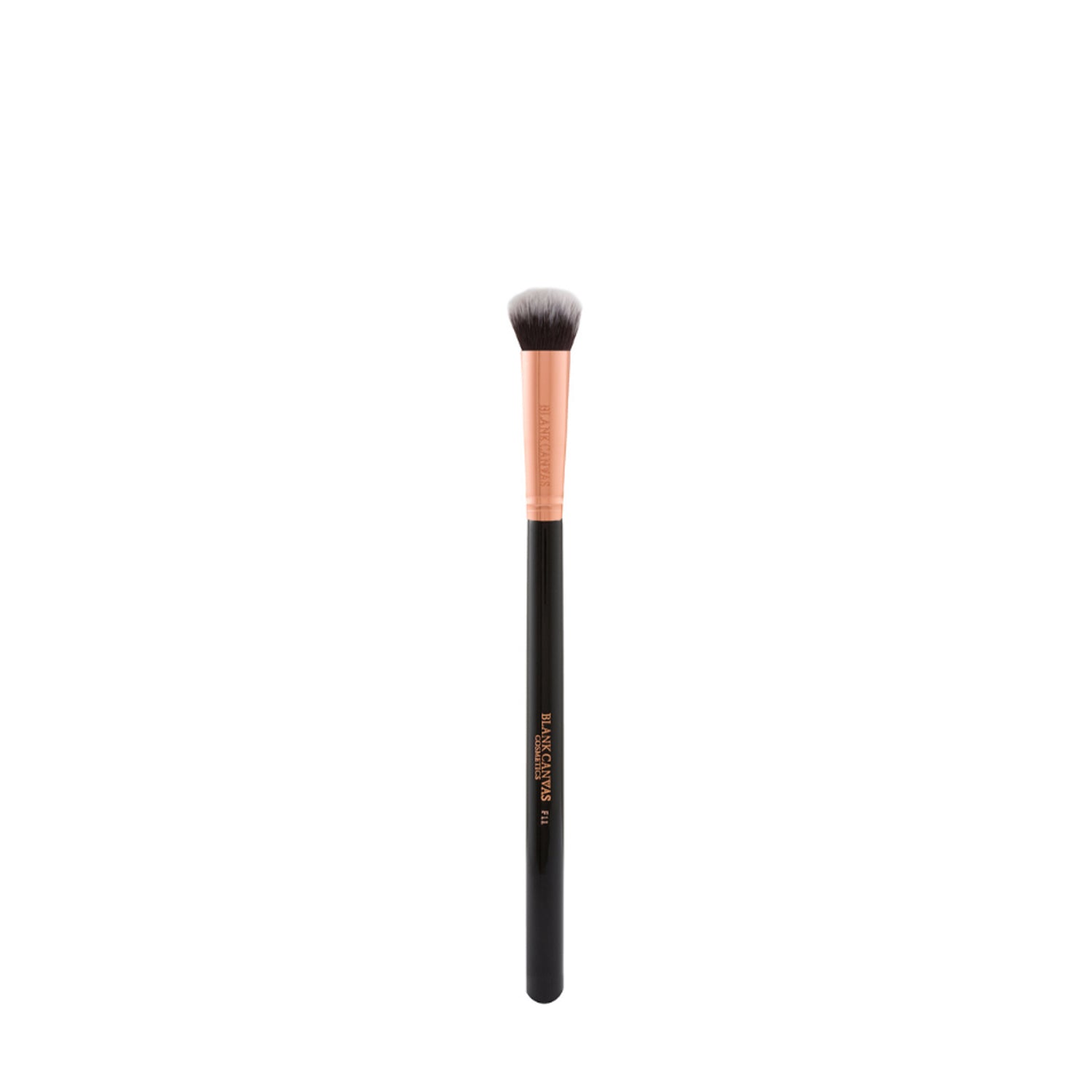 Blank Canvas F12 Brush