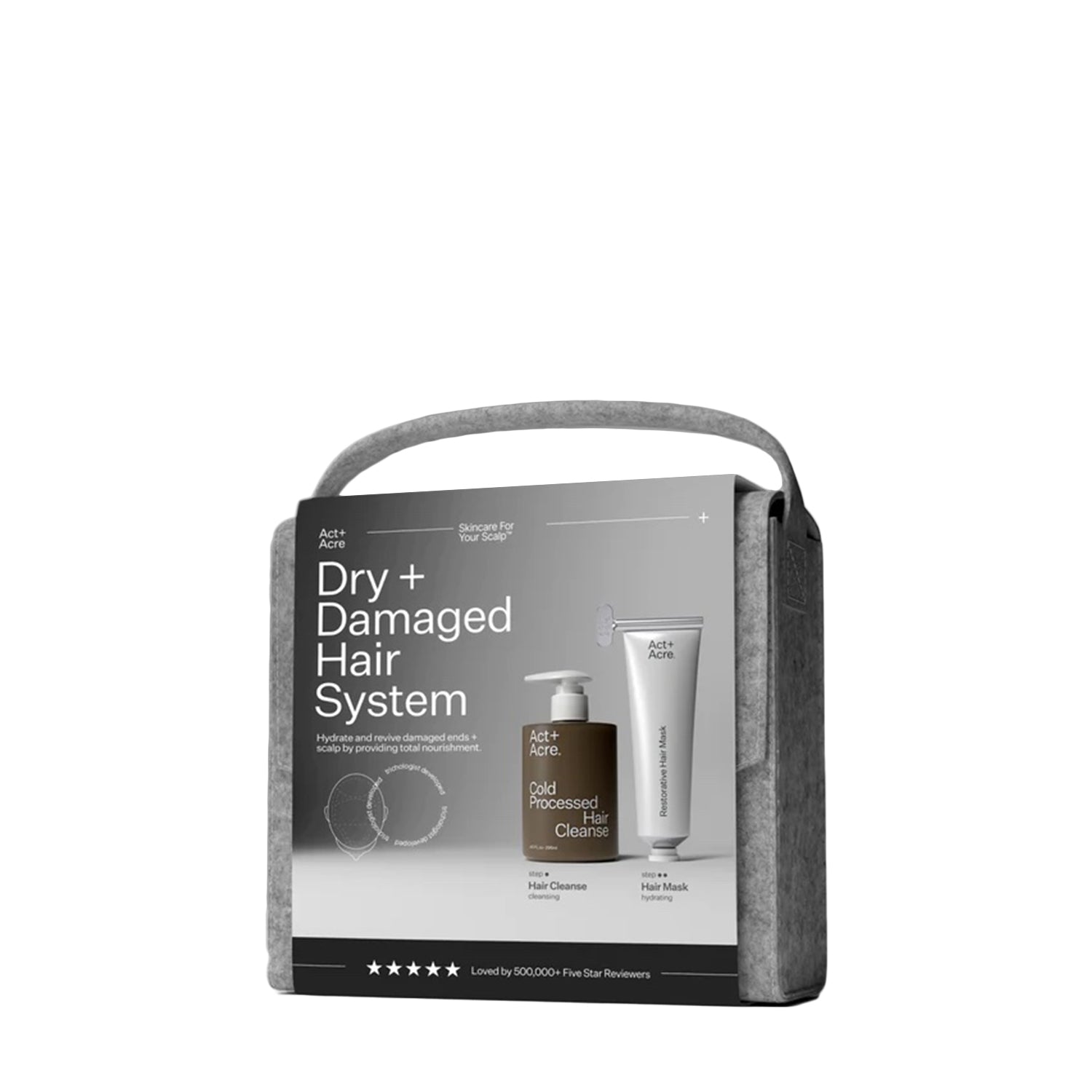 Dry + Damaged Hair System Set