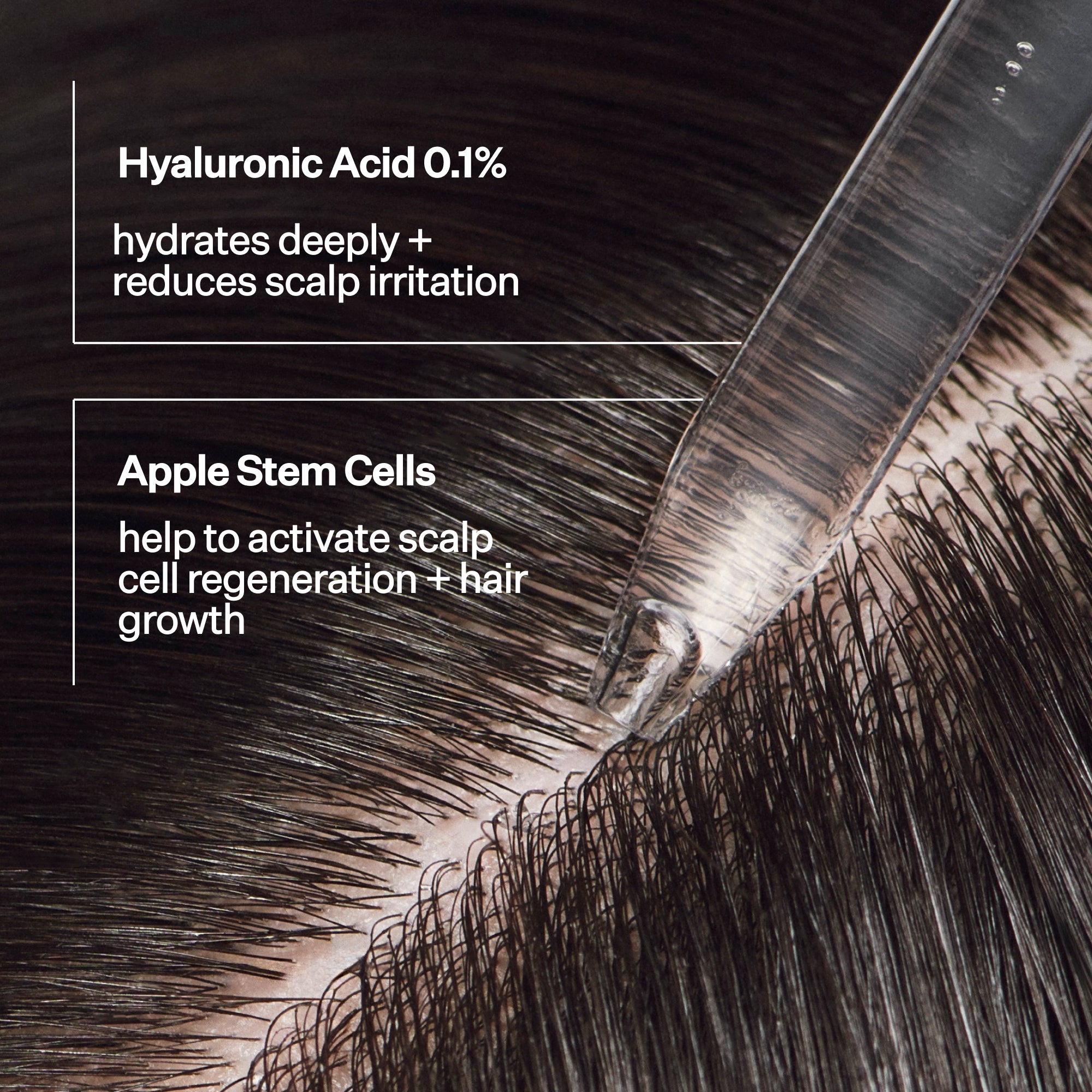Stem Cell Serum