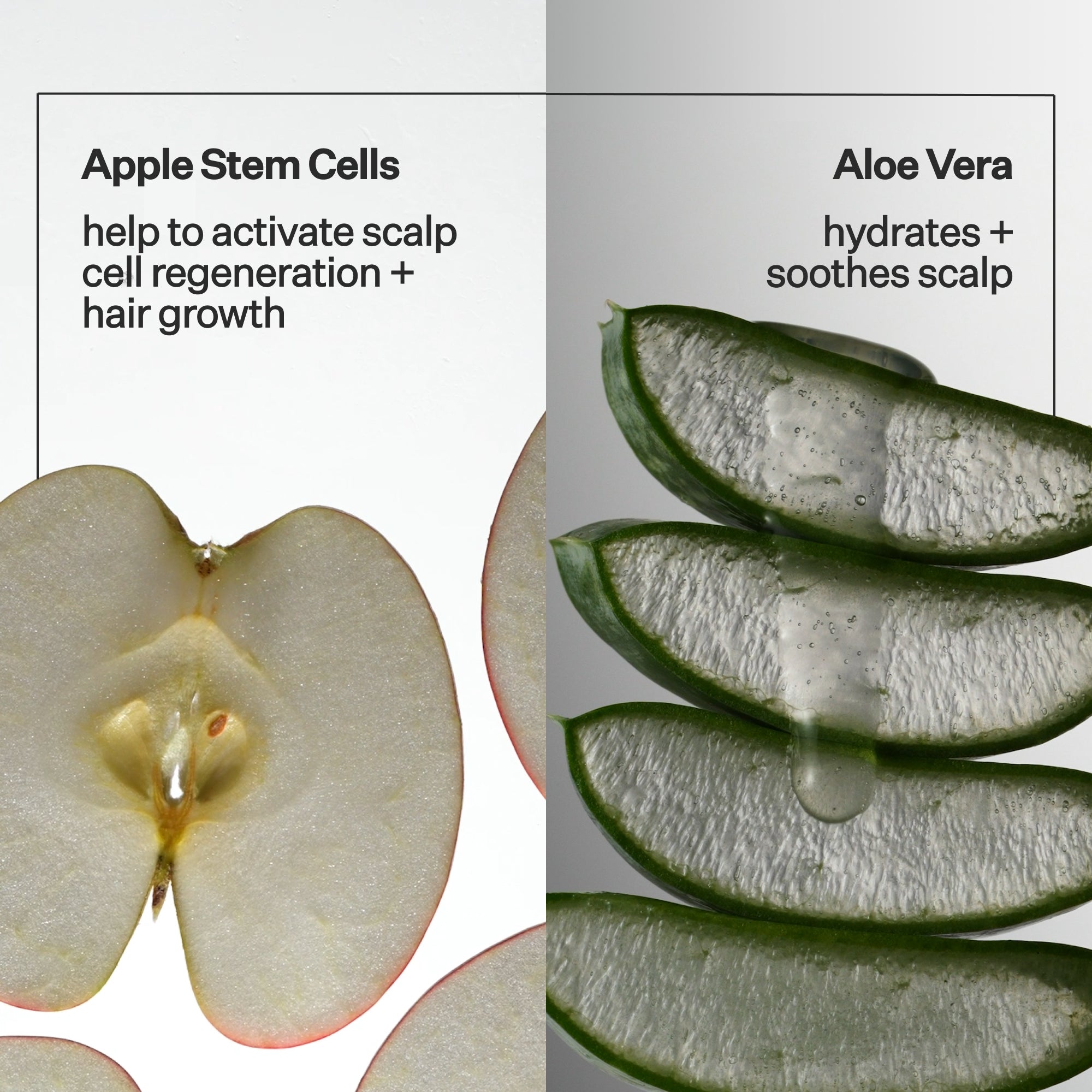 Stem Cell Serum