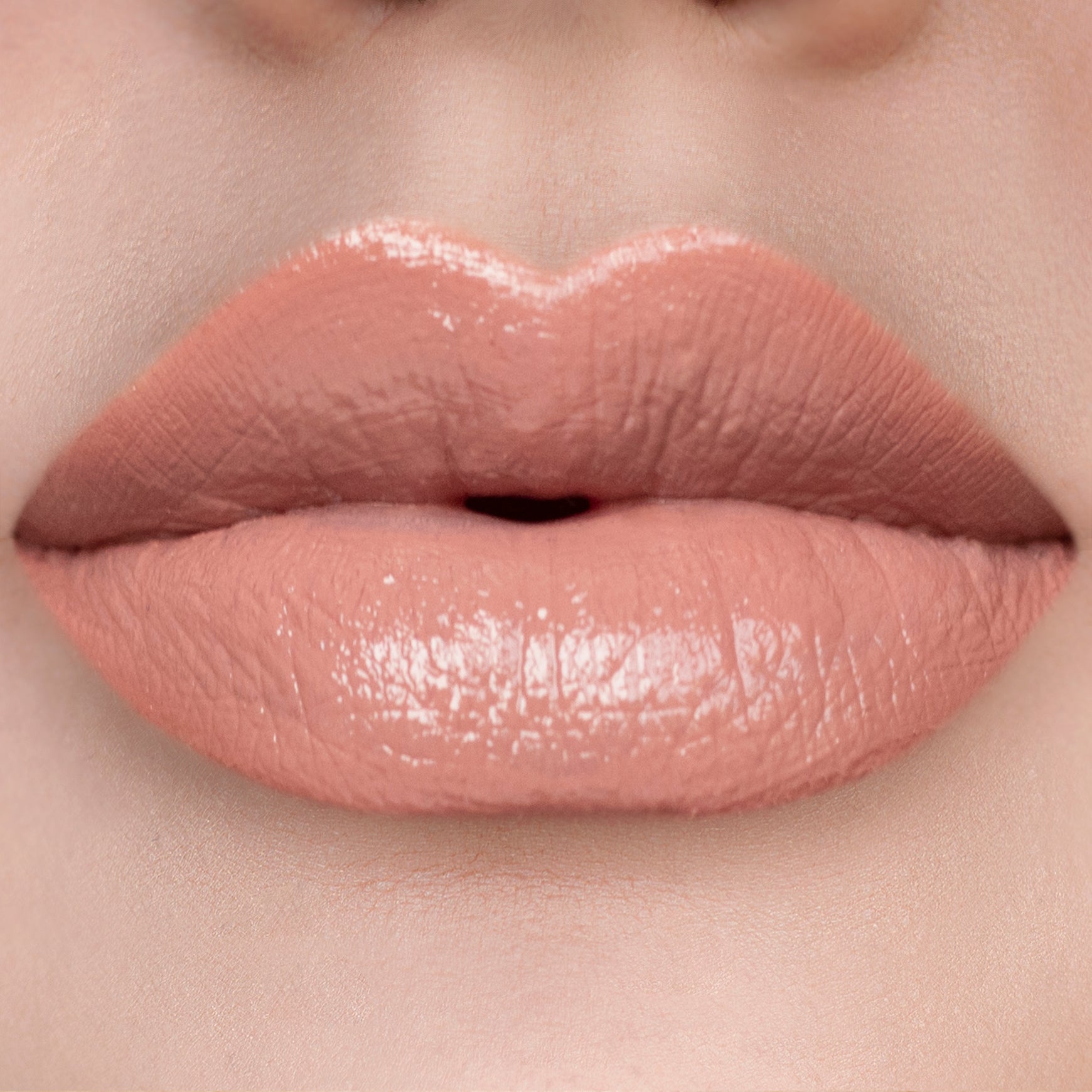 Nude Harmony Lip Kit
