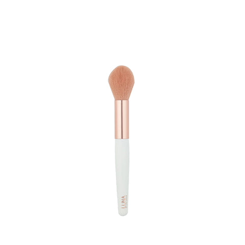Blusher Brush